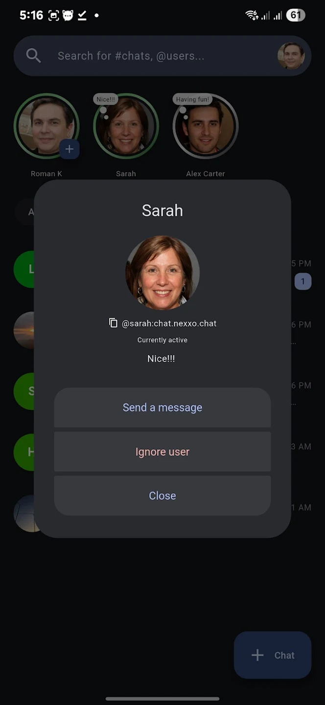 NEXXO Chat — Perfil de contacto
